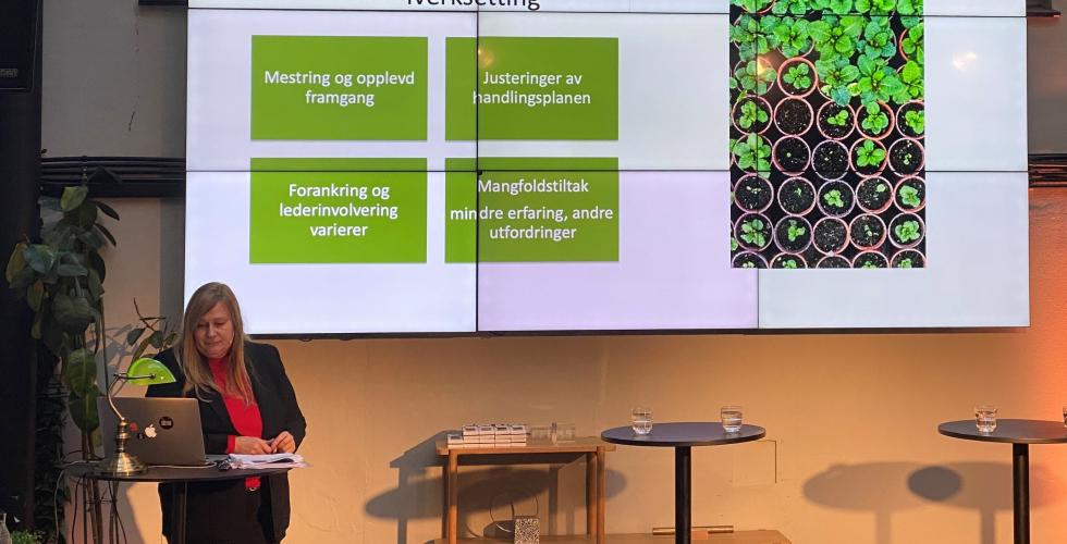 Bilde av forsker Brit Lynnebakke som presenterer funn fra rapport